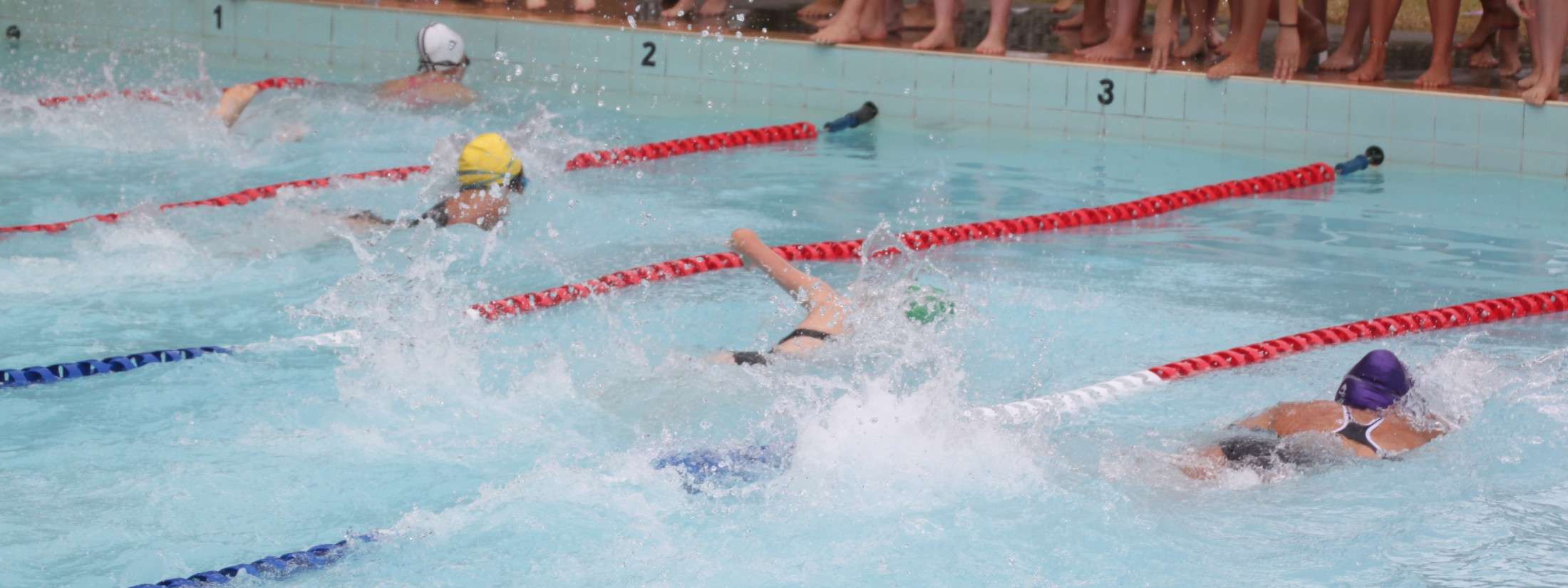 Swimming - Sports - Sport - Baradene College