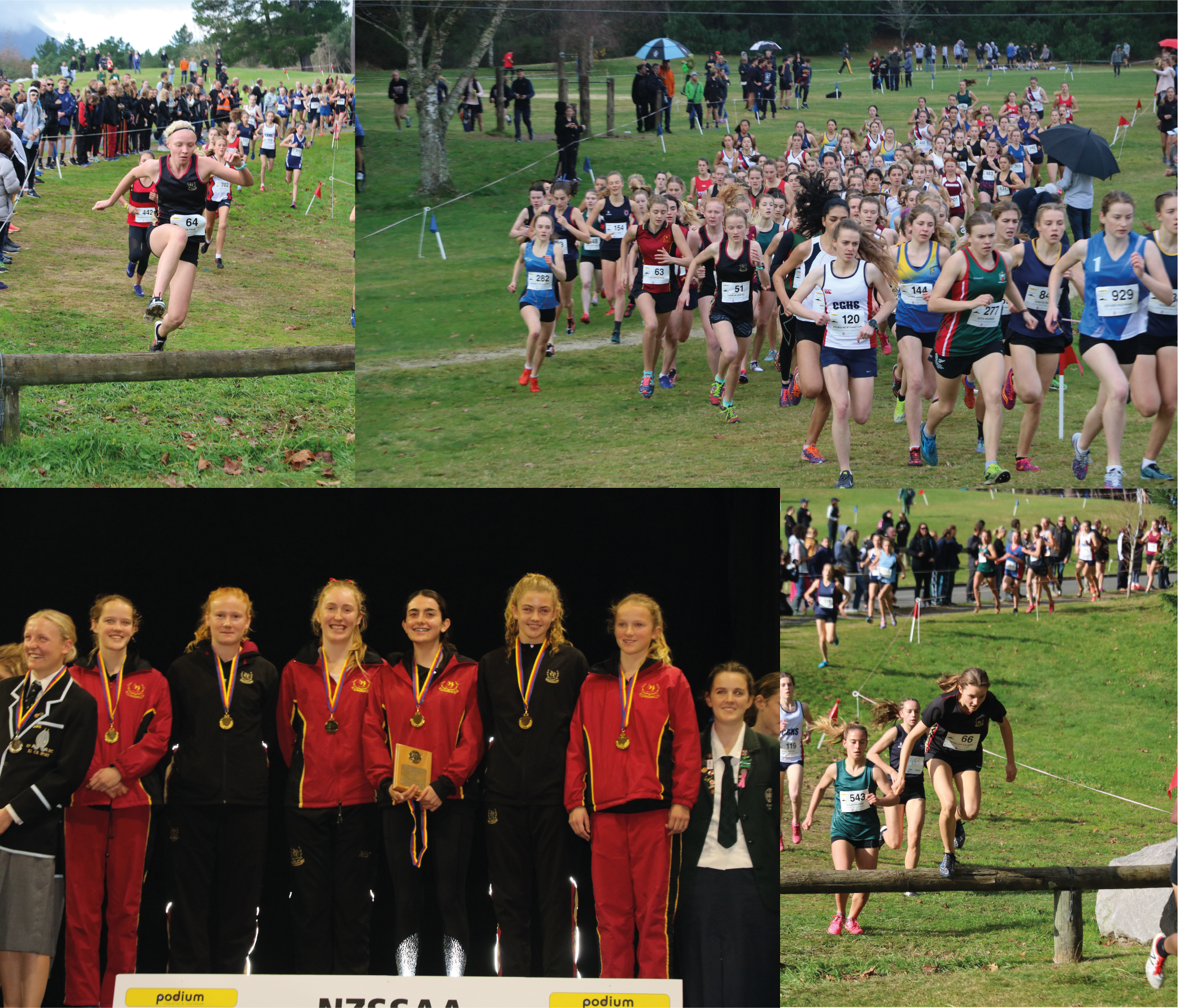 Cross Country Collage
