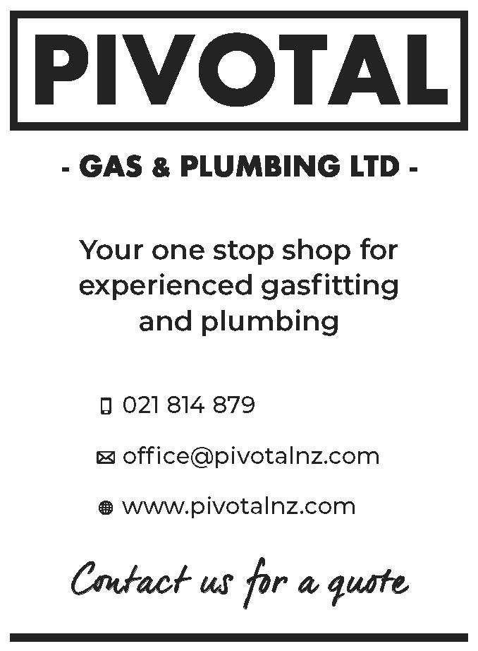 Pivotal Plumbing Quarter Page Ad